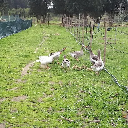 Granja Mg Quarto em Acomodações Particulares *