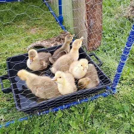 Granja Mg Séjour chez l'habitant
