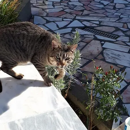 Granja Mg Quarto em Acomodações Particulares *