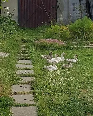 Quarto em Acomodações Particulares Granja Mg Bombarral
