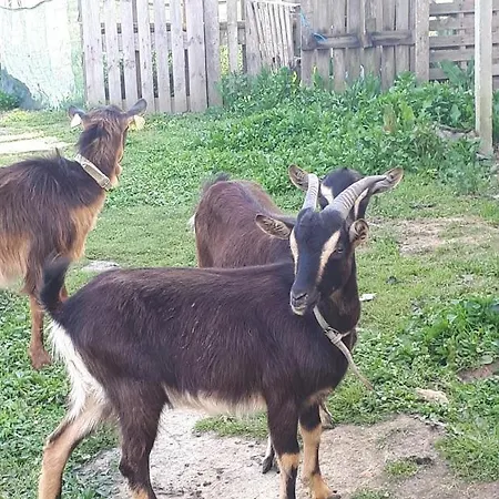 Granja Mg Séjour chez l'habitant Bombarral