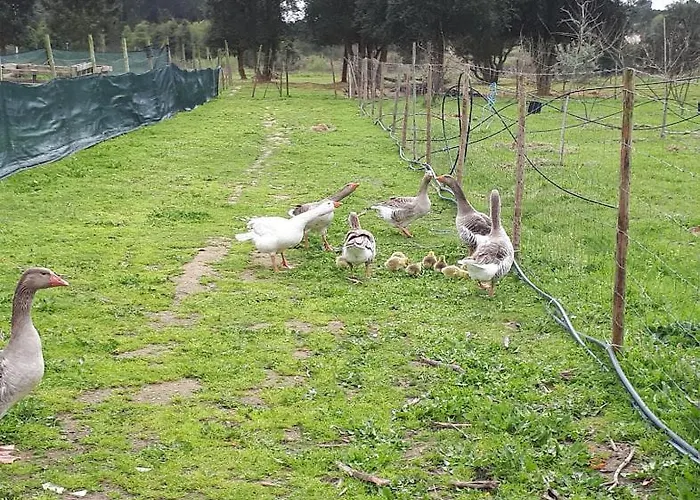 Granja Mg Alloggio in famiglia *