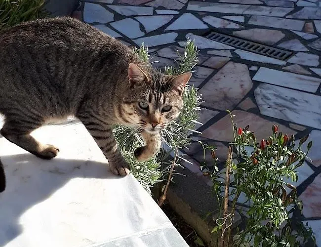 Granja Mg Alloggio in famiglia *