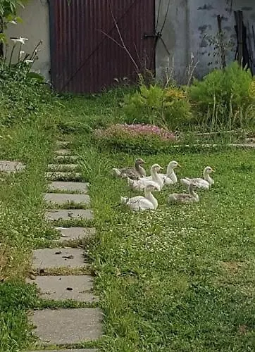 Homestay Granja Mg Bombarral