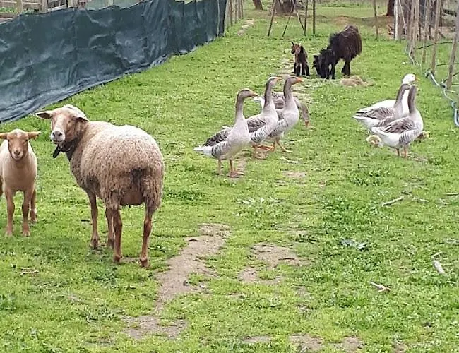 Alloggio in famiglia Granja Mg *